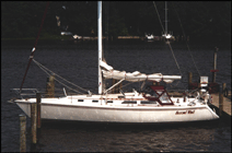 Second Wind - profile view