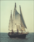 Schooner Liberte  - Click for additional details